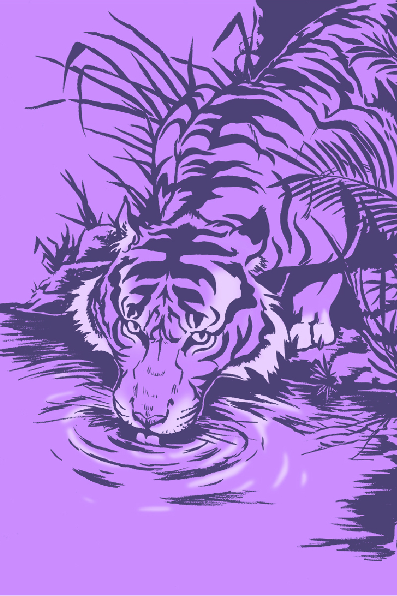Tiger Mural Concept